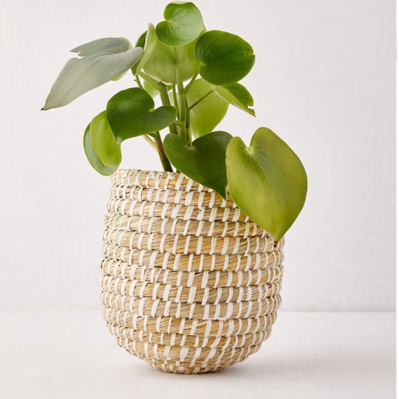 Dia Natural Basket Wicker Boho Peasant Hipster Hippie Art Deco Hip Small Planter - Picture 3 of 3